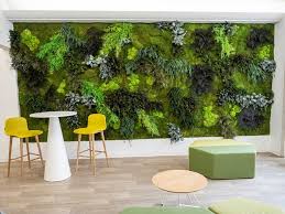 Create privacy or make the most of a small space with this indoor vertical garden is constructed using only four basic materials: Stabilized Plants And Moss Indoor Vertical Garden Moss Plants Mid By Greenarea