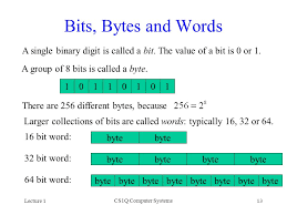 Bits are grouped into bytes to make computer hardware, networking equipment, disks this differs from most other contexts in computer technology, where terms prefixed by kilo, mega and giga, etc., are used according to their meaning in. Cs1q Computer Systems Lecture 1 Ppt Download