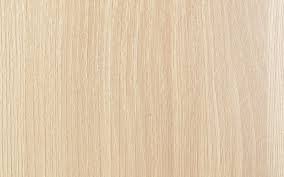 eucalyptus texture light wood texture