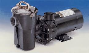 Image result for pump hayward 3/4 hp