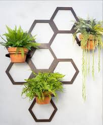 12 wall plant holder ideas wall plant