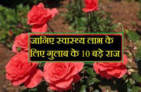 health benefits of rose gulab