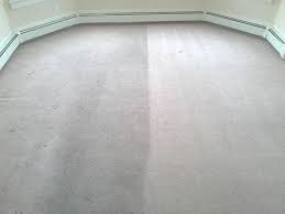 carpet cleaning services in appleton