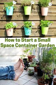 space container gardens