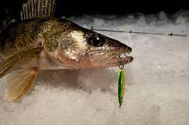 have lure styles for winter walleye