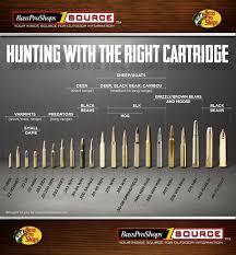 Use This Rifle Caliber Chart To Pick The Right Ammo For