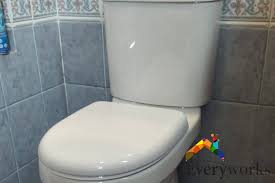 Floor Mounted Toilet Bowl