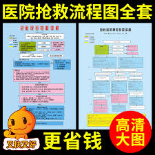 Usd 6 00 Hospital First Aid Procedure Steps Chart Diagram