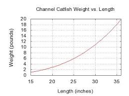 Channel Catfish Size Chart Yahoo Canada Search Results