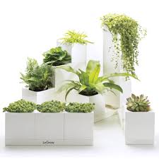 More ideas from decoracion con plantas. Decoracion De Banos Con Plantas Artificiales Simplythinkshabby