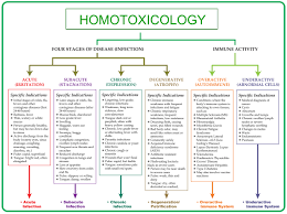 What Is Homotoxicology Simplyyourhealth Com