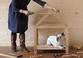 diy dog house plans anyone can build