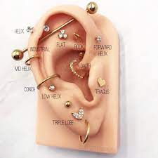 11 cool types of ear piercings ear