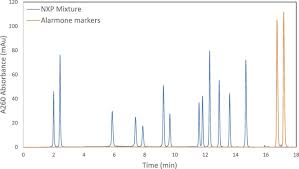 strong anion exchange chromatography