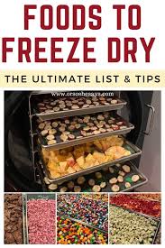I own a commercial freeze dryer, and i have freeze dried medical cannabis. Foods You Can Put In Your Freeze Dryer The Ultimate List Tips Or So She Says