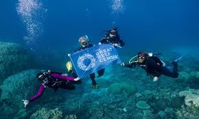 protect the great barrier reef