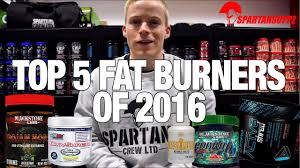 fat burner supplements to lose weight