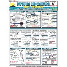 Bait Rigging Chart Dolphin Card Tl Br5 8 99 America