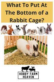 Rabbit Cages Hobby Farm