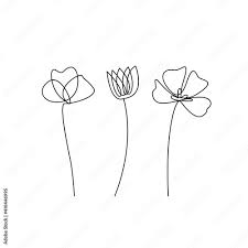 flower line art simple icon design