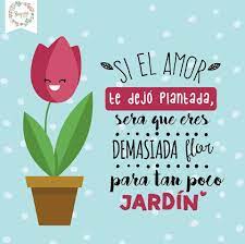 Si el amor te dejo plantada, sera que eres demasiada flor para tan poco  jardín ❤ | Words, Quotes, Humor