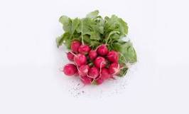 Should  radishes  be  refrigerated?