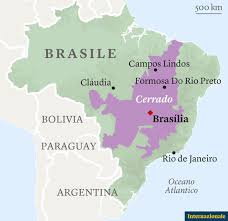 Il brasile si trova ad est del sud america: Il Brasile Brucia E La Colpa E Spesso Delle Multinazionali Video Internazionale