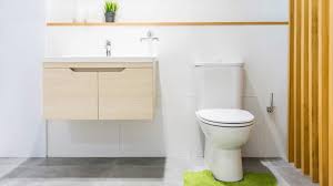 5 reasons why your toilet is leaking at
