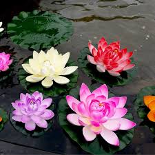 Di taman shuangxi bunga itu berukuran mulai dari tiga sampai delapan meter. 5 Buah Set Dekorasi Kolam Bunga Teratai Eva Teratai Air Mengambang Buatan 10cm Lotus Simulasi Kolam Renang Merah Kuning Biru Merah Muda Tanaman Buatan Aliexpress