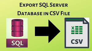 how to export sql server database to