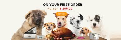 Low cost preventative veterinary care. Pet Shop Near Me Now Cheap Online