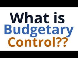 Image result for IMAGES OF BUDGETARY CONTROLS