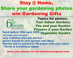 Win Gardening Gifts Indoor Gardens