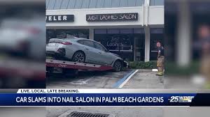 driver accidentally crashes into palm