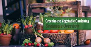 Greenhouse Vegetable Gardening For