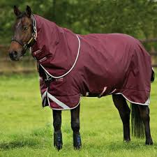 winter horse rugs stormsure