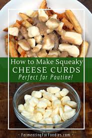 homemade squeaky cheese curds
