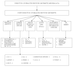 Organisational Chart Of Maternal Child Health And Family