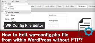 edit wp config php file in wordpress