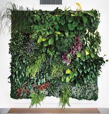 plant wall ideas how to build