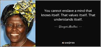 TOP 25 QUOTES BY WANGARI MAATHAI (of 114) | A-Z Quotes via Relatably.com