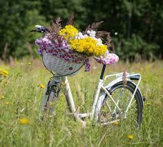 31 Fun And Whimsical Bicycle Planters
