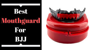 5 Best Mouthguard For Mma Reviews Fivestarmouthguard
