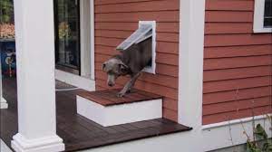 Pet Door Installation Services In