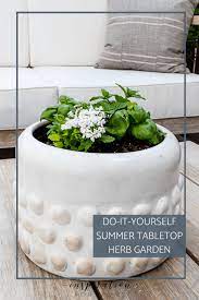 diy summer outdoor tabletop herb garden