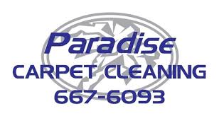 paradise carpet cleaning