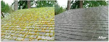 cleaning moss algae off your roof in