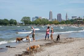 a dog friendly guide to cleveland ohio