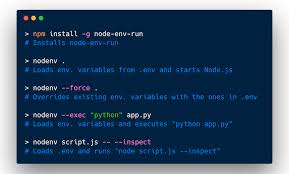 node env run npm