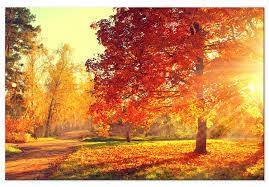 Obrazy Jesienne, jesień obrazek, jesień obraz, jesienne obrazy, jesienny obraz, obrazek jesieni, obraz jesień, obraz jesieni, obrazki jesień, obrazki na jesień, obrazy pejzaże jesienne, pejzaż jesień, jesień pejzaż - bimago